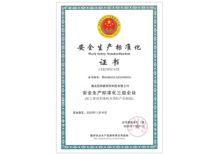國家安全生產標準化企業(yè)